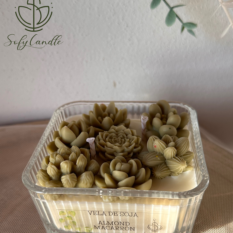 Vela de Soja - Suculentas 1