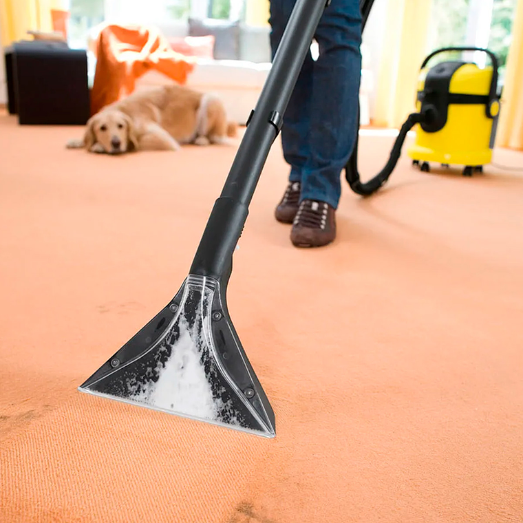 ASPIRADORA LIMPIA ALFOMBRAS Y TAPIZ 4