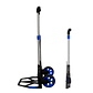 CARRO ALUMINIO PLEGABLE 125 KG - Miniatura 5