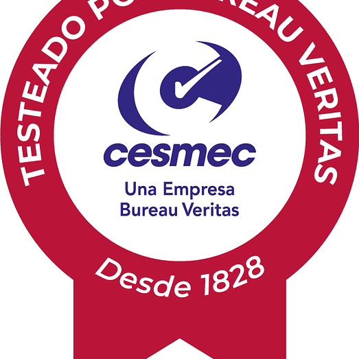 ESCALERA FIBRA VIDRIO PLATAFORMA 5 PELDAÑOS CON BARANDA 6