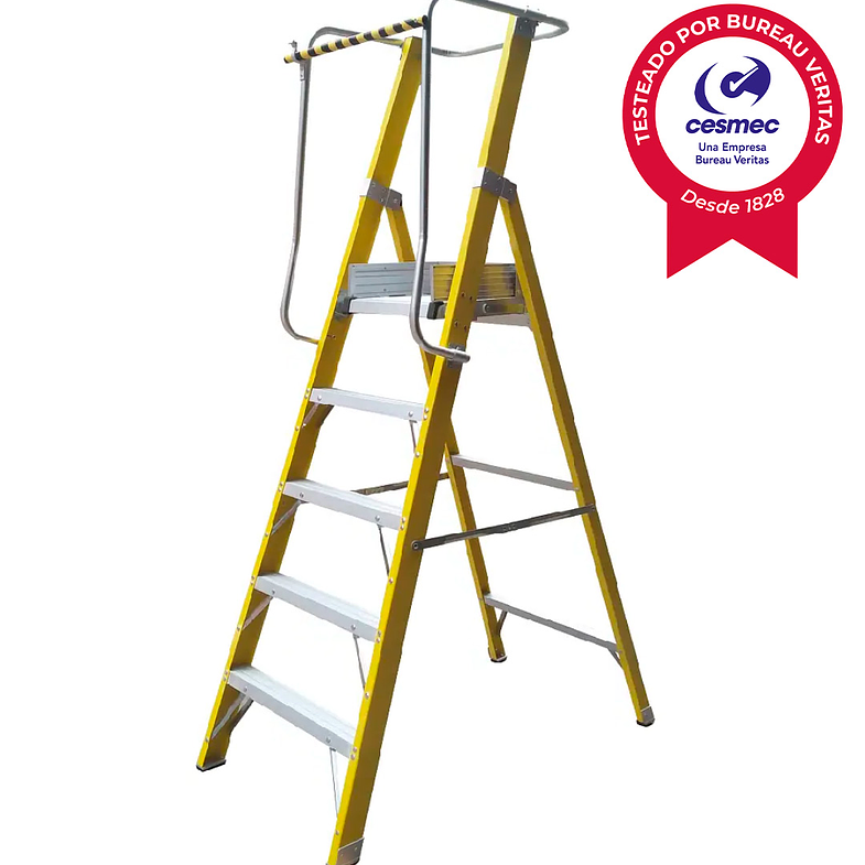 ESCALERA FIBRA VIDRIO PLATAFORMA 5 PELDAÑOS CON BARANDA 2