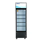 VISICOOLER 1 PUERTA DE VIDRIO 260L - Miniatura 1