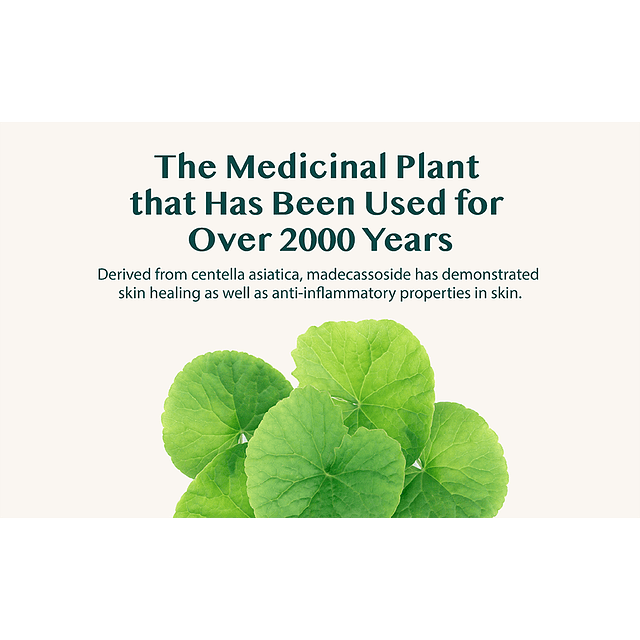 Madecassoside Cream 2X (Repara / Hidrata / Calma)