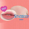 Lip & Cheek Blurry Pudding Pot ( Seventeen )