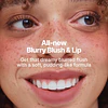 Lip & Cheek Blurry Pudding Pot ( Seventeen )