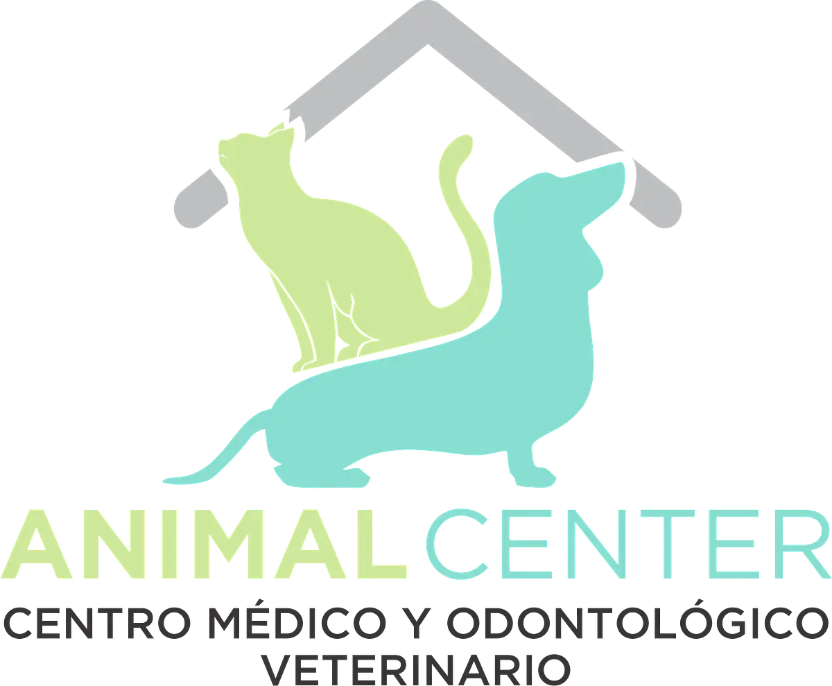 Animal Center Chillán