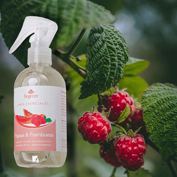 Aromatizante de ambientes 500mL: Papaya y Frambuesa (incluye gatillo) 1