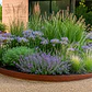 Pack Solerilla CORTEN / bordura jardín 10 metros - entrega inmediata  - Miniatura 2