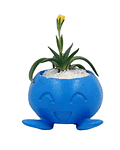 Macetero Oddish- Pokémon®