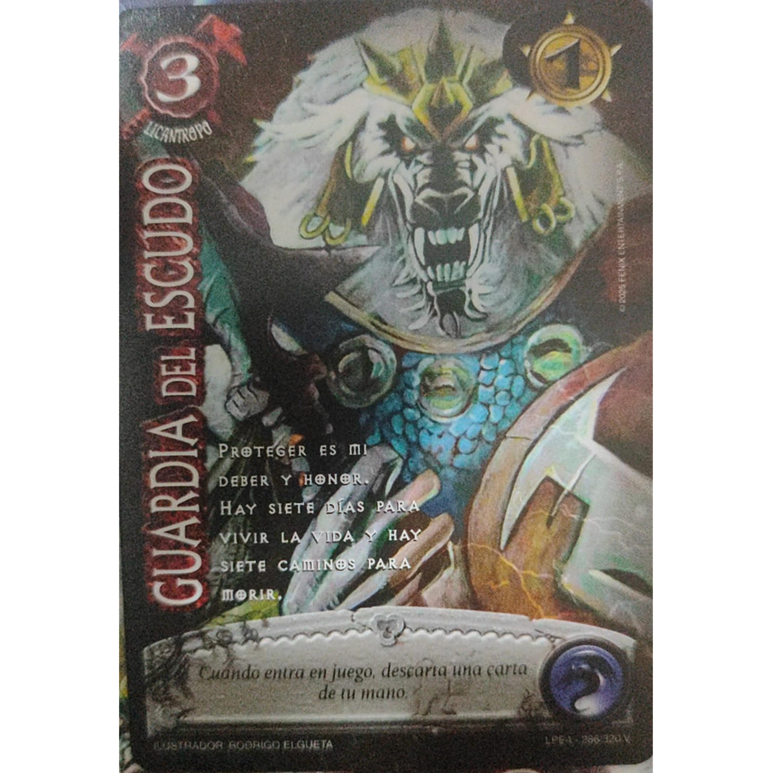 Guardia del Escudo 1