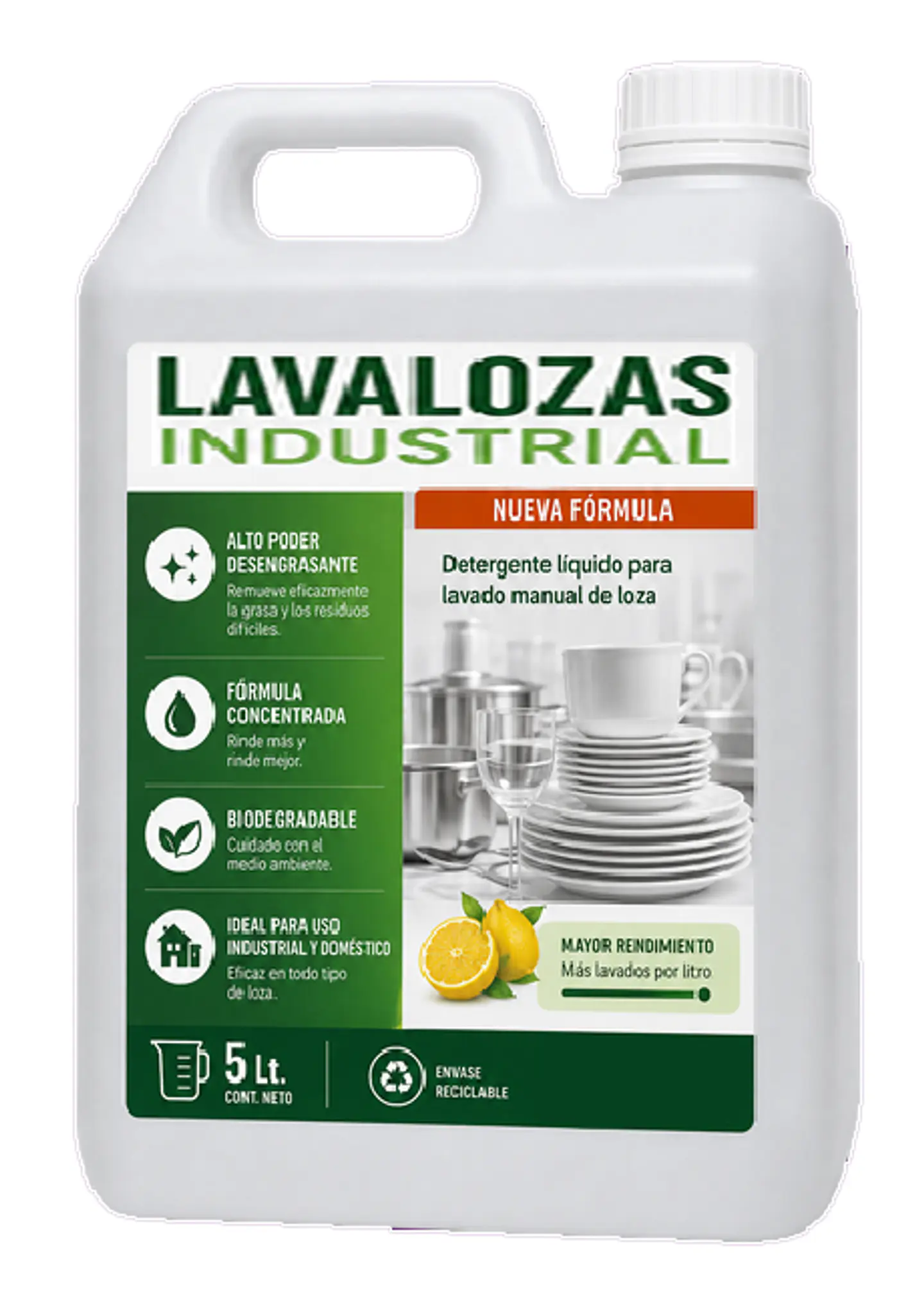 LAVALOZA INDUSTRIAL 5 LTS 1