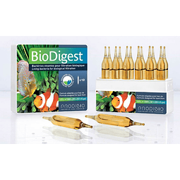 Prodibio, Bio Digest, Bacterias Nitrificantes 12 Ampollas