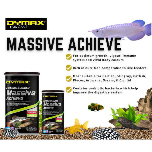 Massive Achieve 400ml - 160g Dymax 2