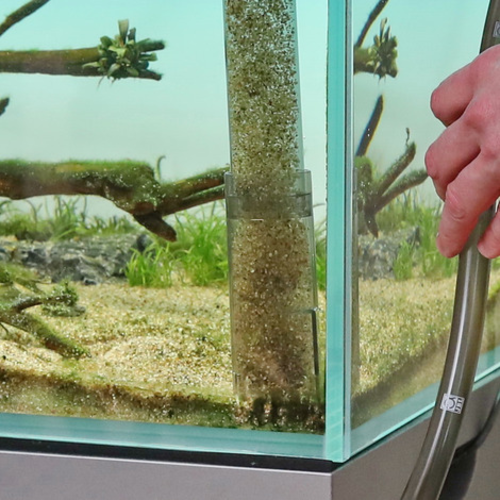 Sifon Pro Clean Aqua Ex 45-70cm JBL 3