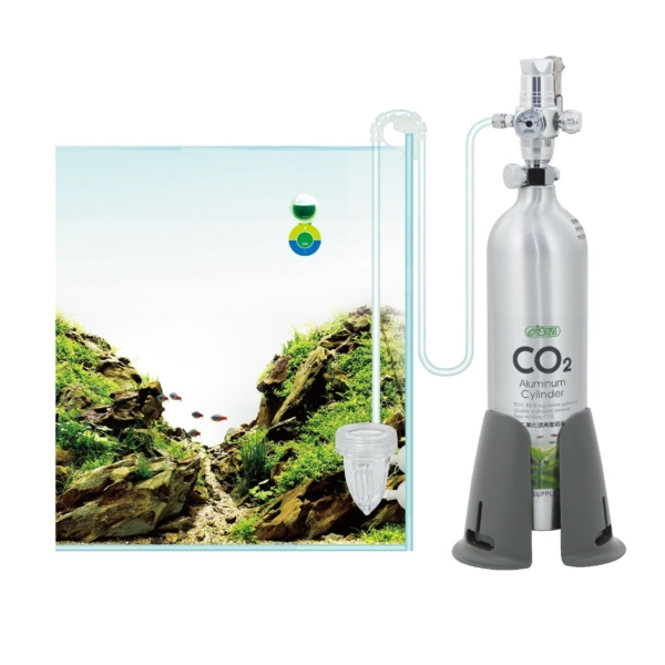 Kit Co2 Basic Face Up 1000cc Ista 1