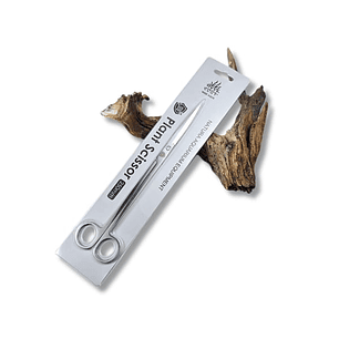 Tijera Recta Acero Inoxidable Week Aqua