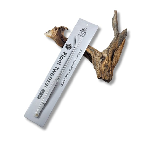 Pinza Punta Curva Acero Inoxidable 25cm Week Aqua  1