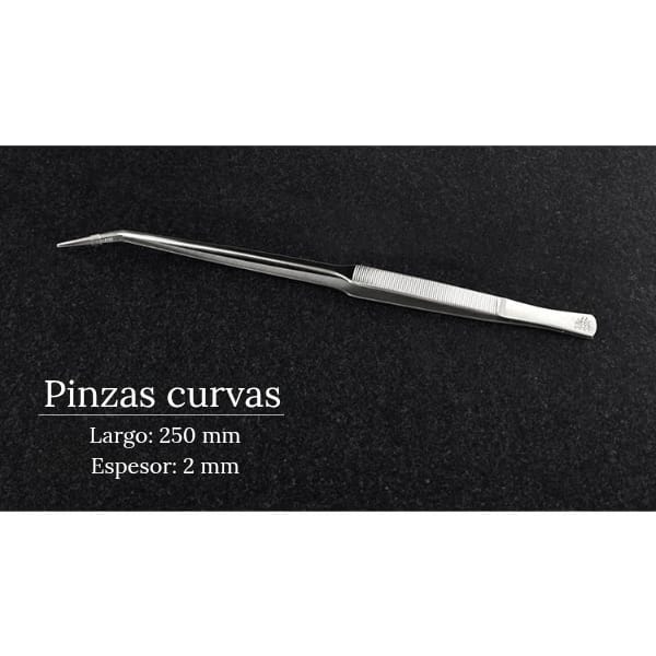 Pinza Punta Curva Acero Inoxidable 25cm Week Aqua  2