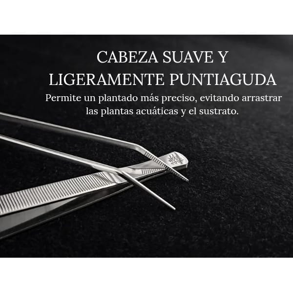 Pinza Punta Recta Acero Inoxidable 25cm Week Aqua 3