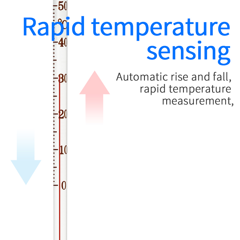 Termómetro de alta precisión Week Aqua 3