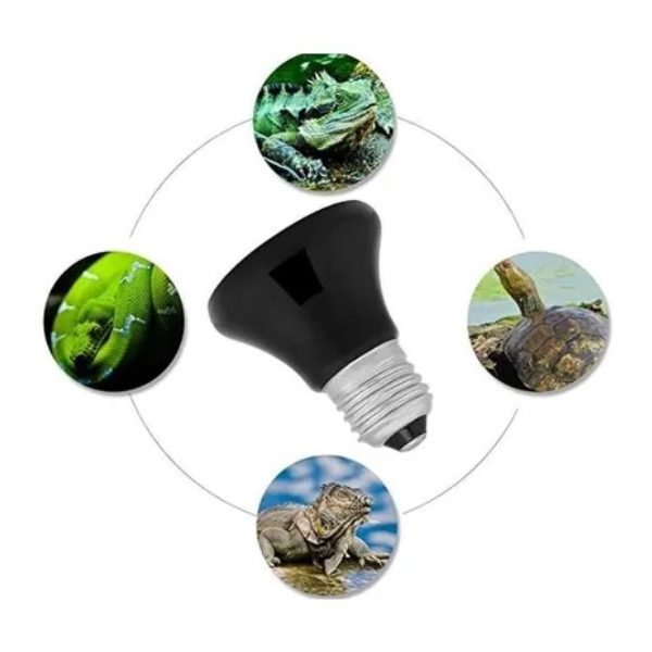 Ampolleta Mini Ceramica 20 watts 2