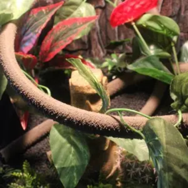 Liana para Terrarios NN-02 Nomoy Pet 2