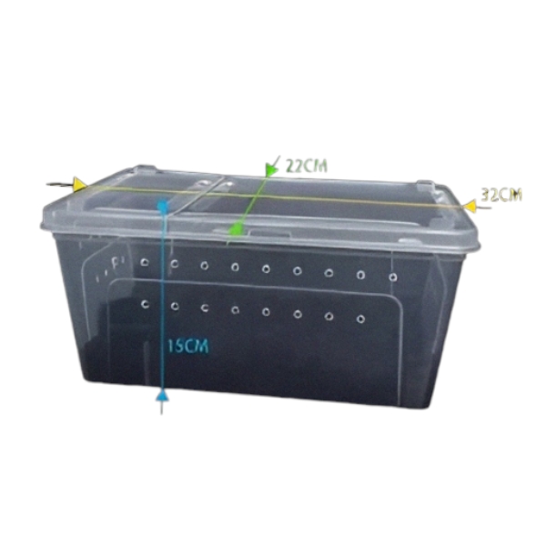 Contenedor de Cría o Transporte Reptiles Large Nomoy Pet  5