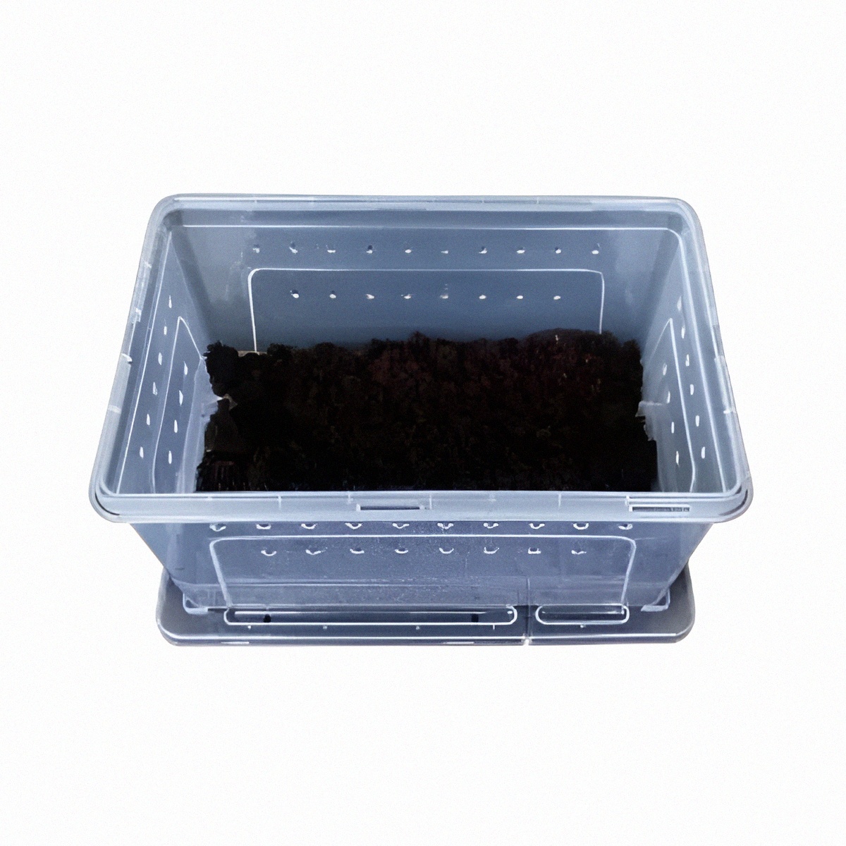 Contenedor de Cría o Transporte Reptiles Large Nomoy Pet  4