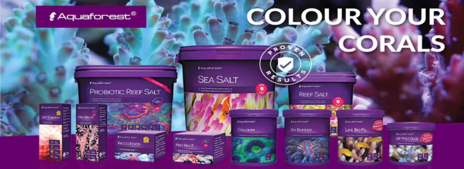 NitraPhos Minus 50ml Aquaforest 2