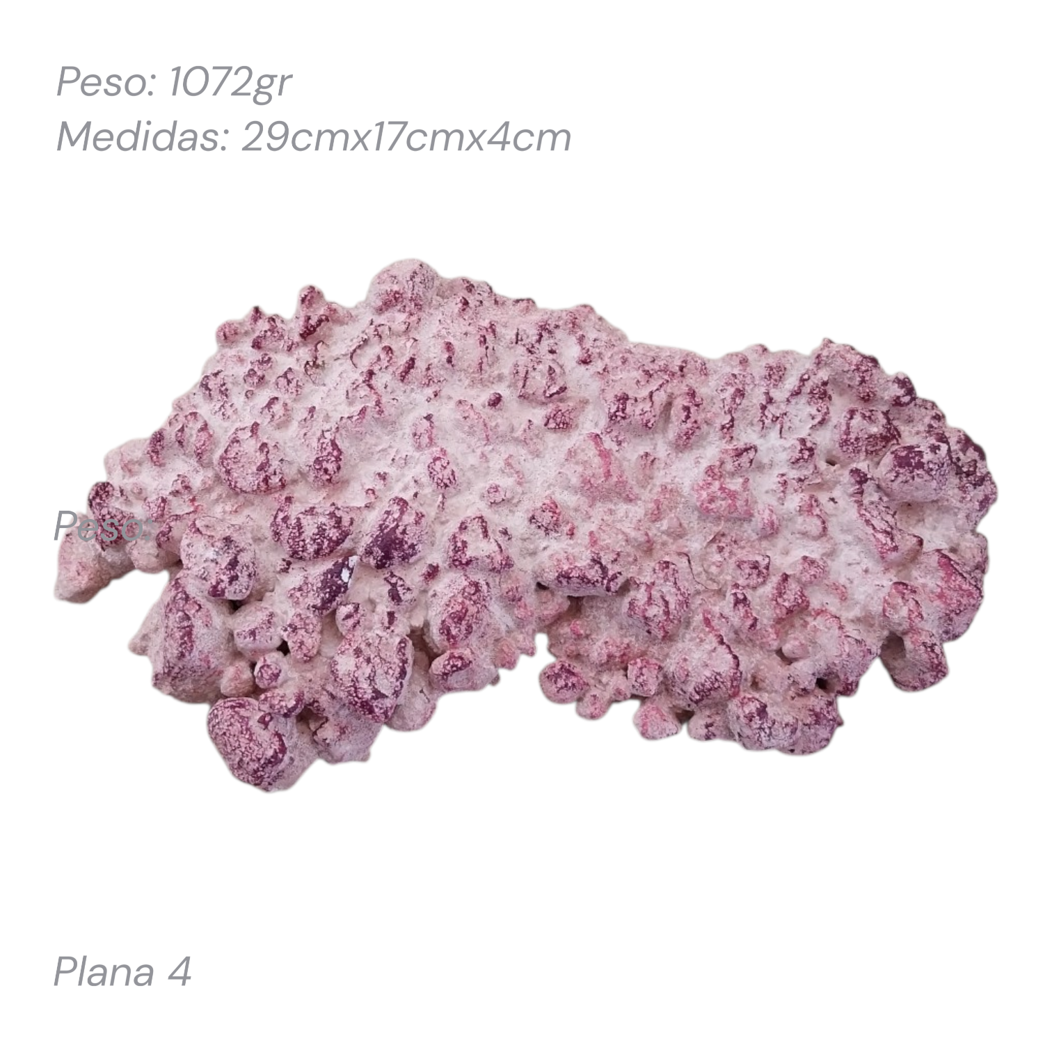 Roca Aquaforest Tipo Plataforma 1