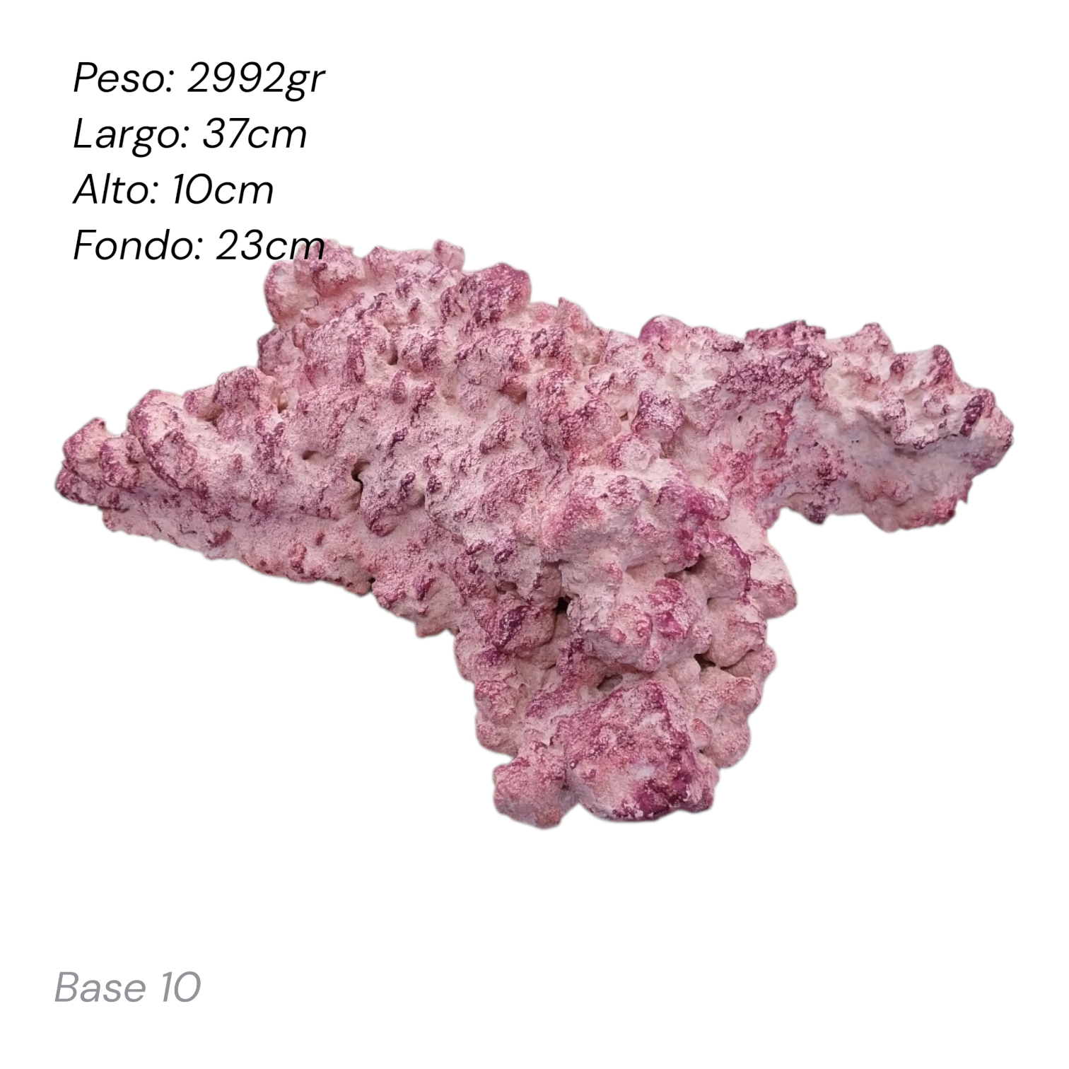 Roca Aquaforest Tipo Base 1