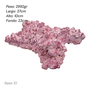 Roca Aquaforest Tipo Base