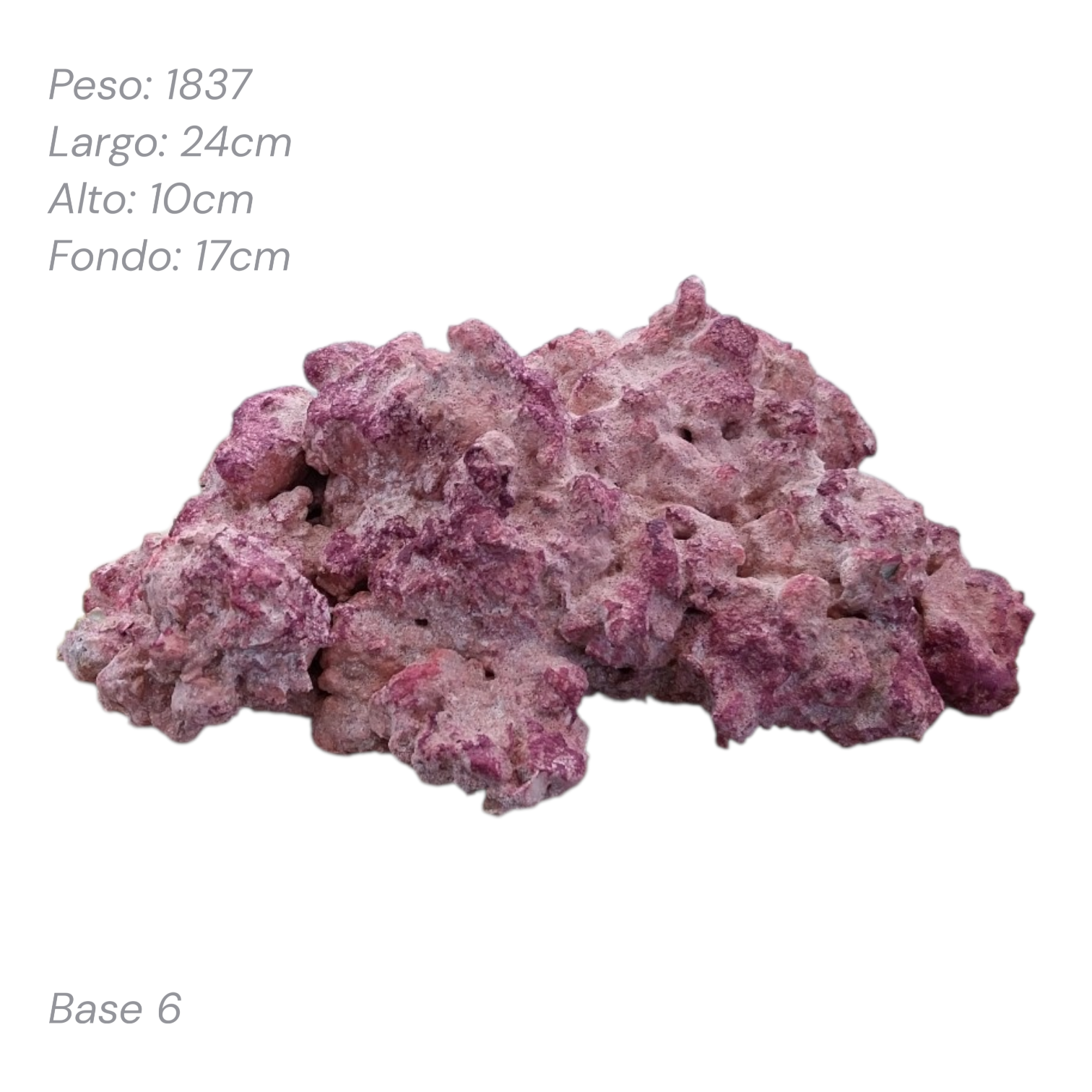 Roca Aquaforest Tipo Base 1