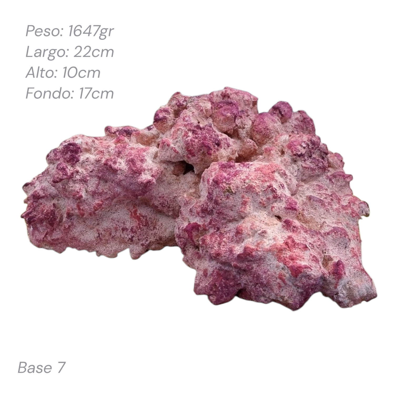 Roca Aquaforest Tipo Base 1