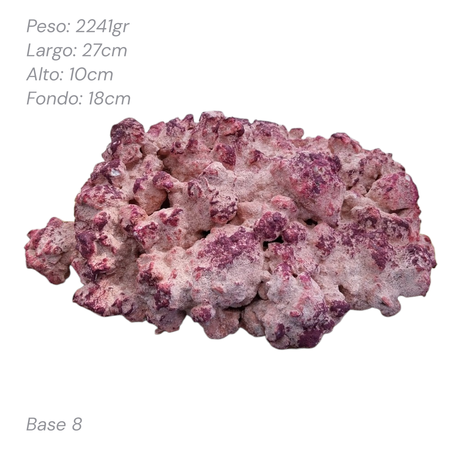 Roca Aquaforest Tipo Base 1