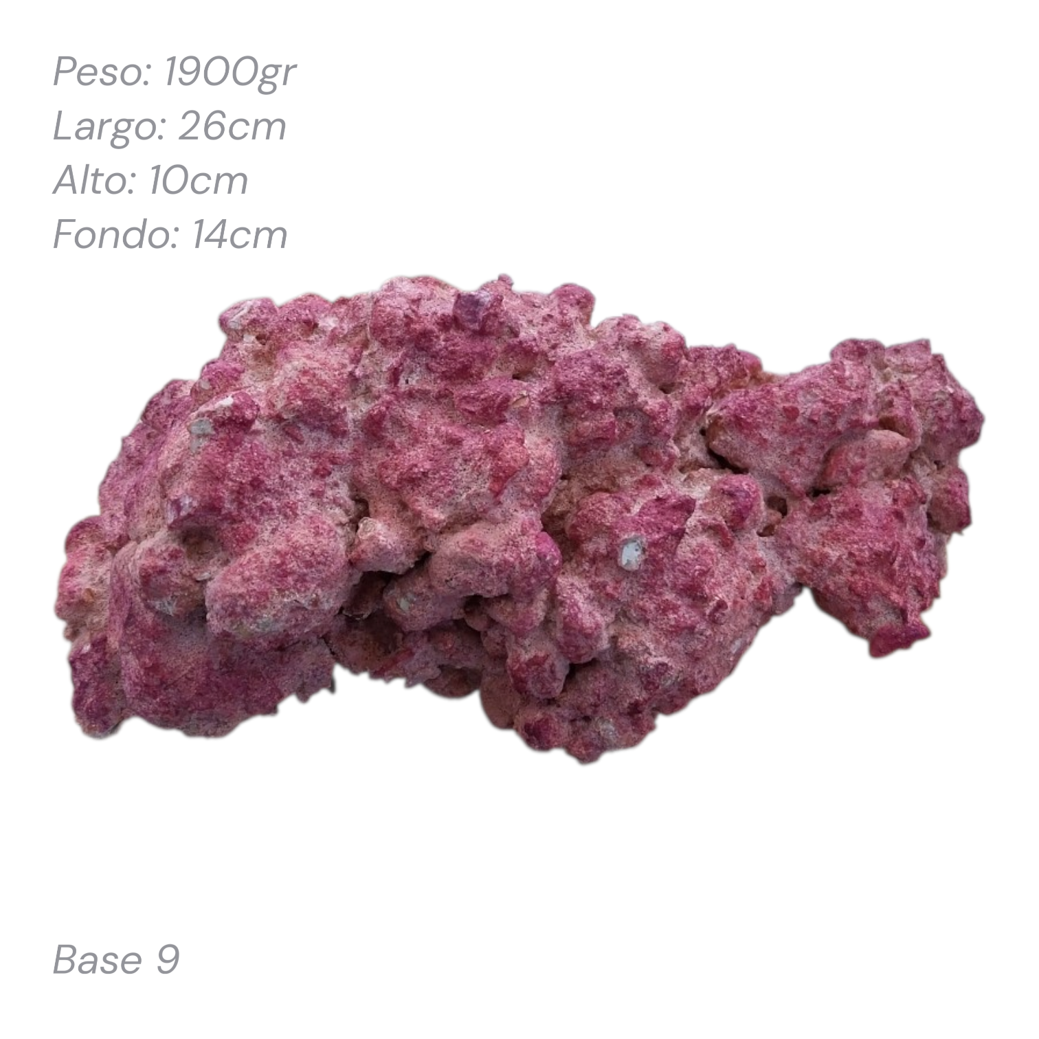 Roca Aquaforest Tipo Base 1