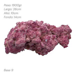 Roca Aquaforest Tipo Base