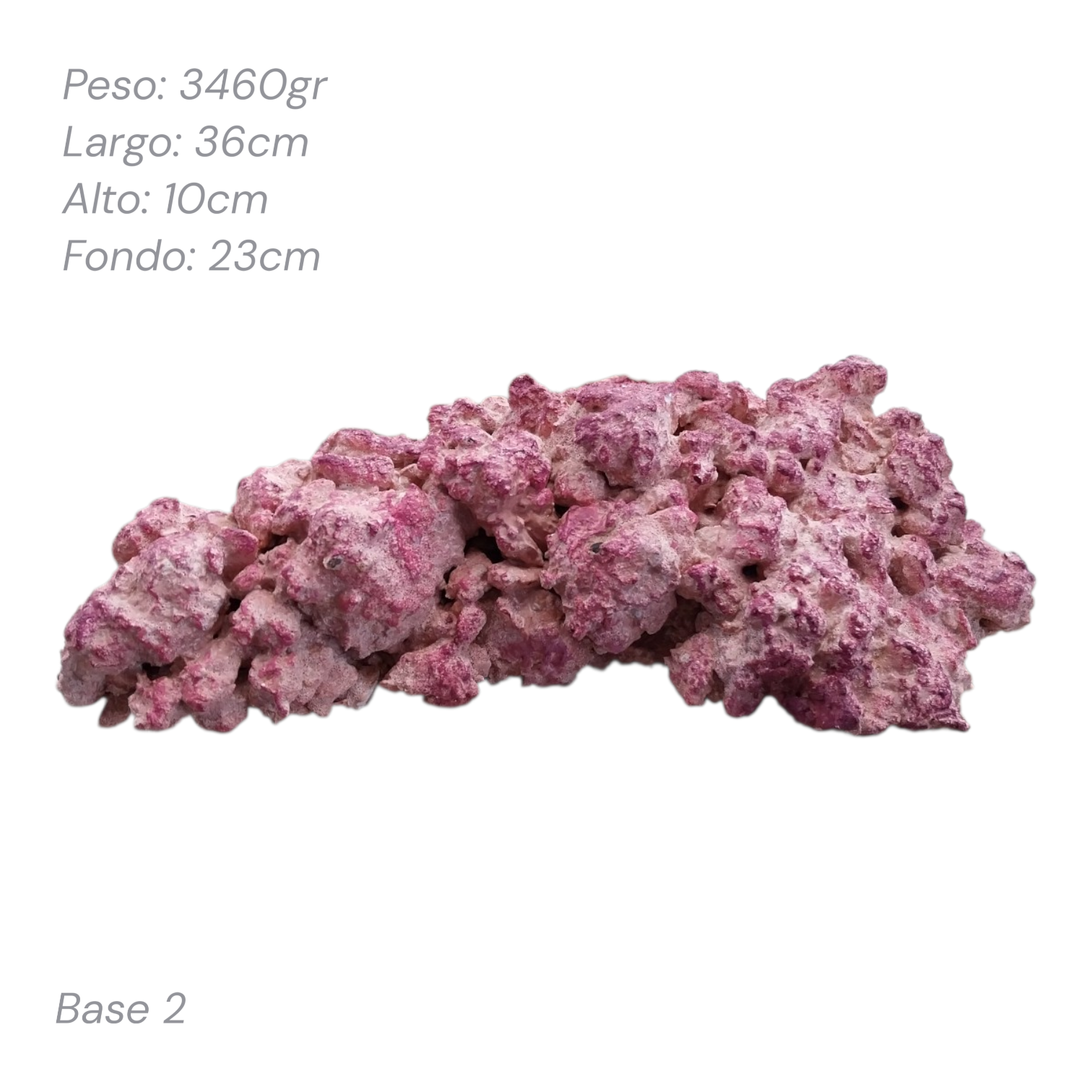 Roca Aquaforest Tipo Base 1