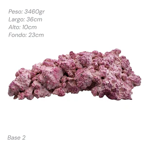 Roca Aquaforest Tipo Base