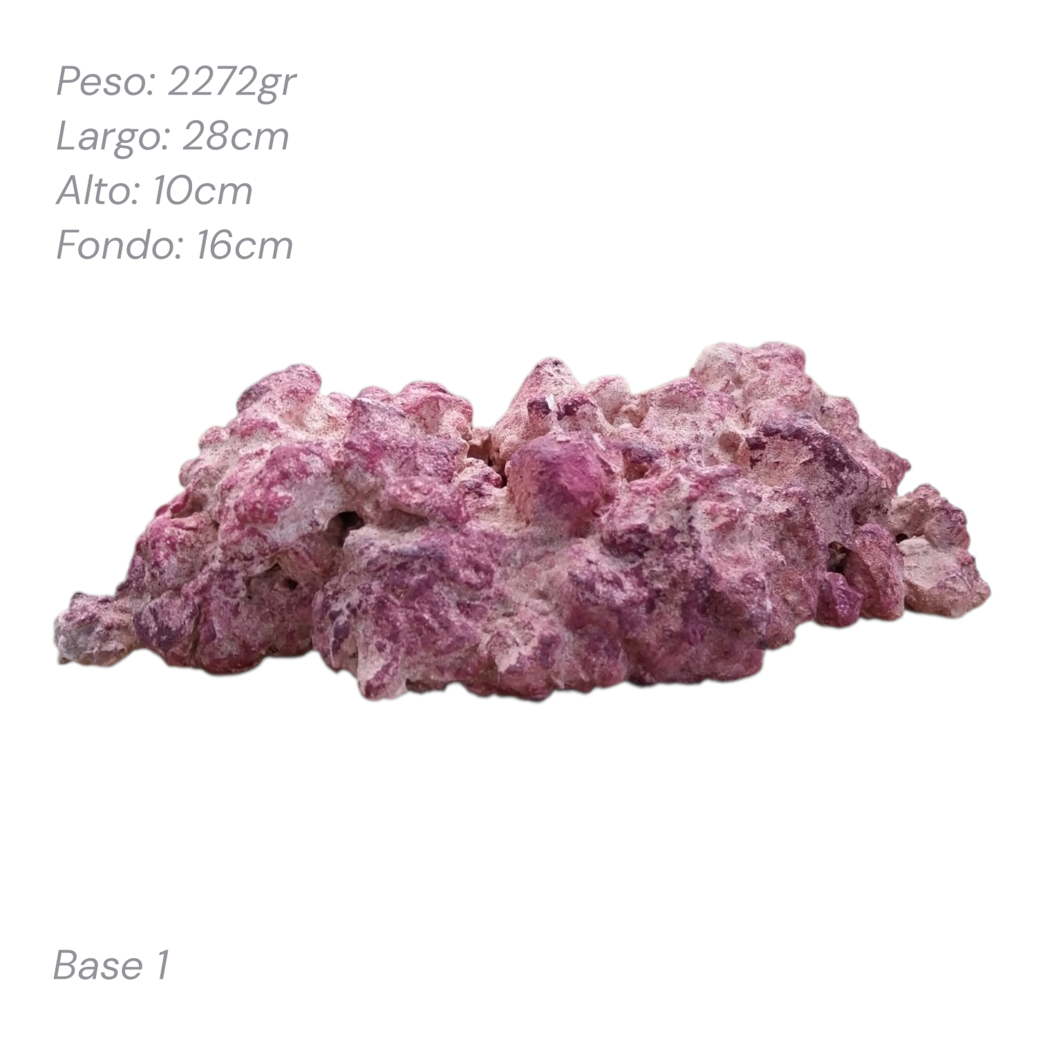 Roca Aquaforest Tipo Base 1