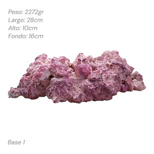 Roca Aquaforest Tipo Base