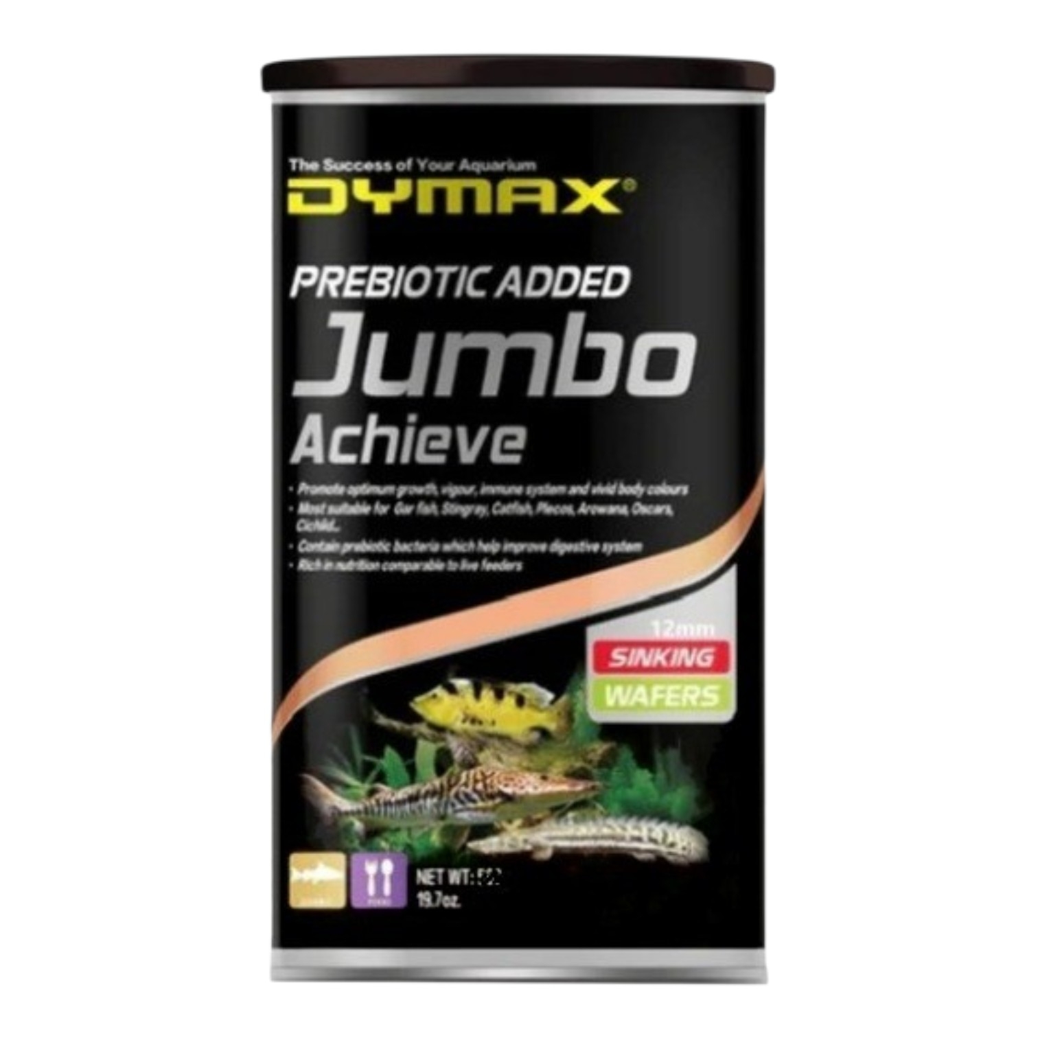 Jumbo Achieve - Dymax 3
