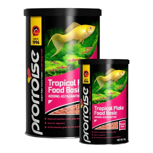 Tropical Flakes Food Basic Porpoise