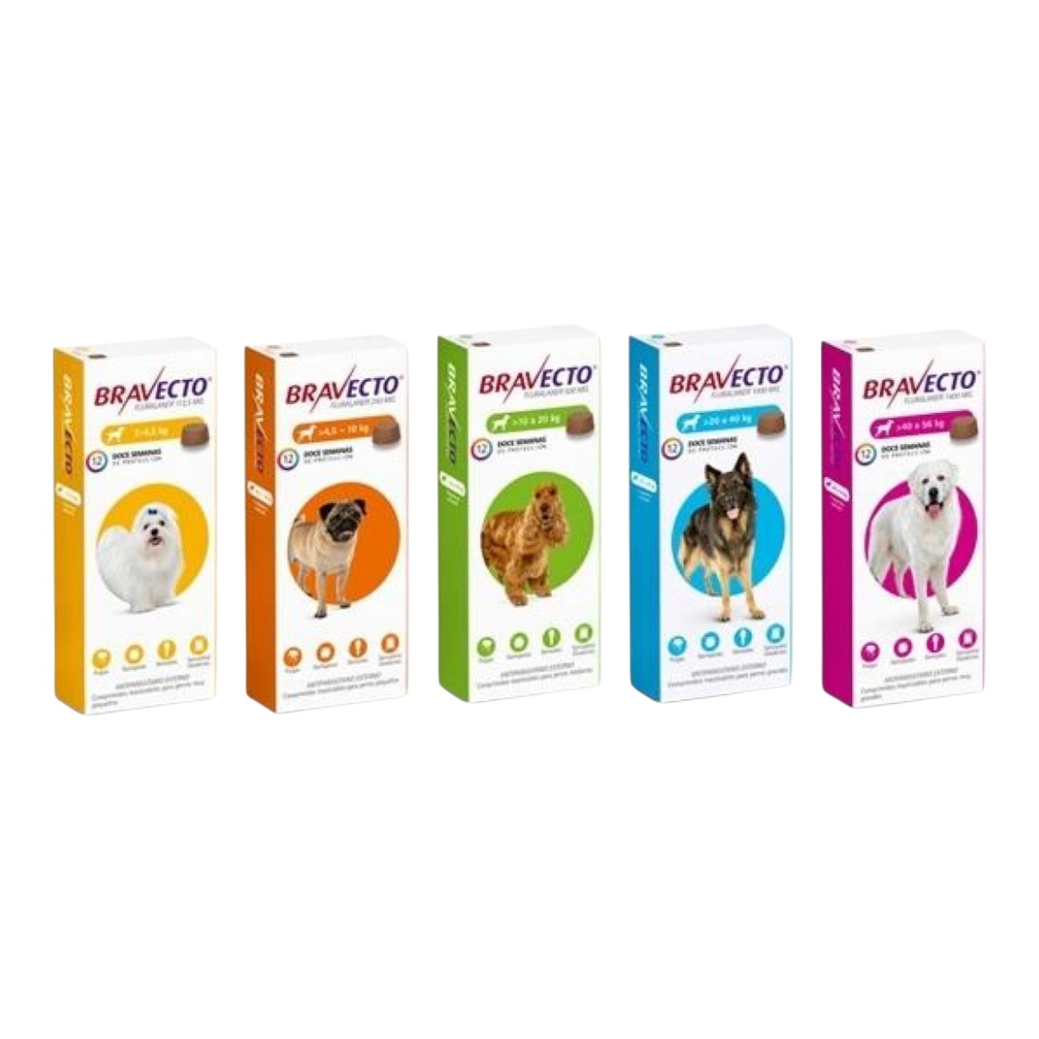 Antiparasitario Bravecto 3M (12 semanas) Perro 1