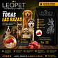 LeoPet Alimento Premium Todas las Rasas 9kg + 1kg - Miniatura 3