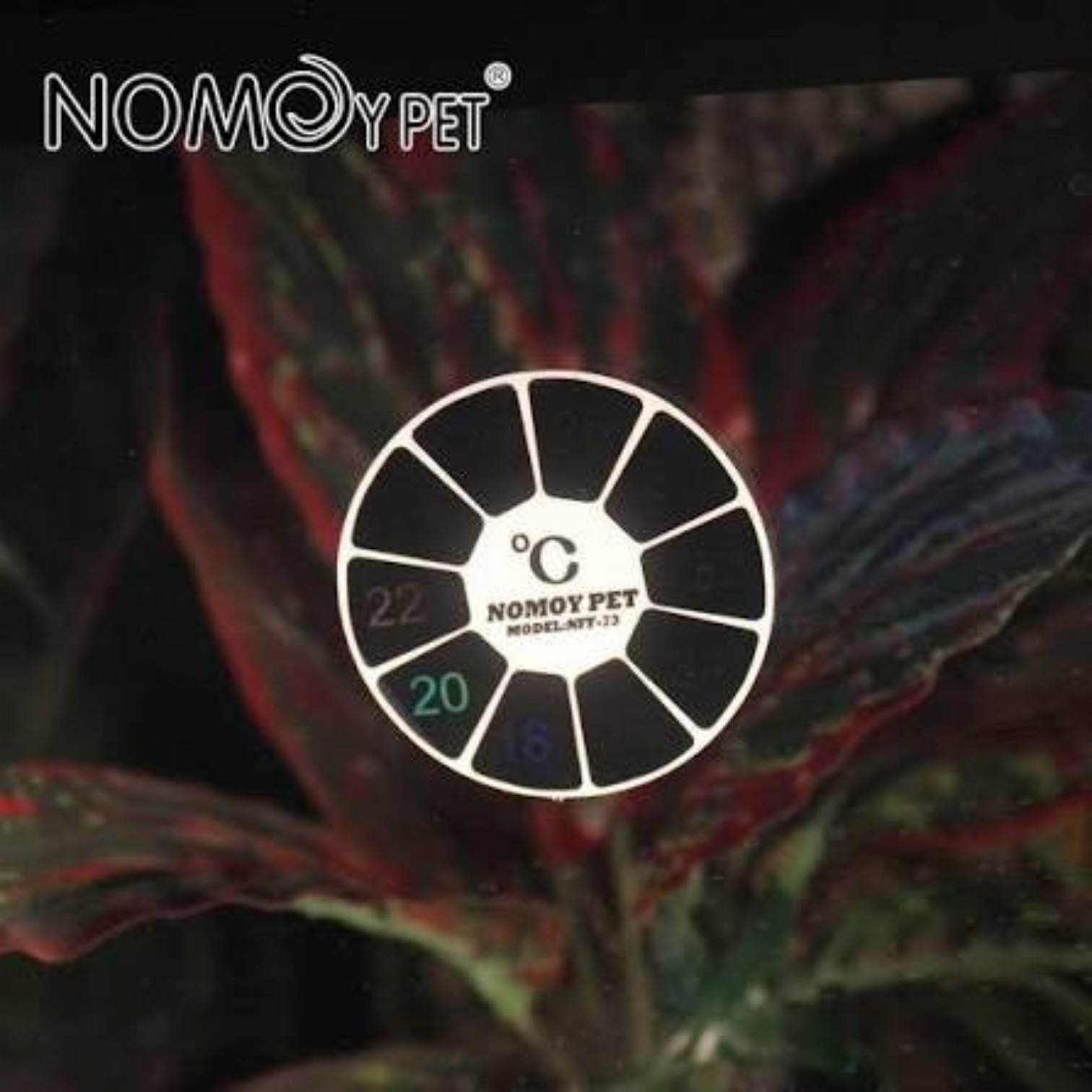 Termómetro Adhesivo Circular Nomoy Pet NFF-73 4