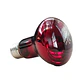 Ampolleta Infrarroja Nomoy Pet ND-21 Calefacción Reptiles Aves - Miniatura 2