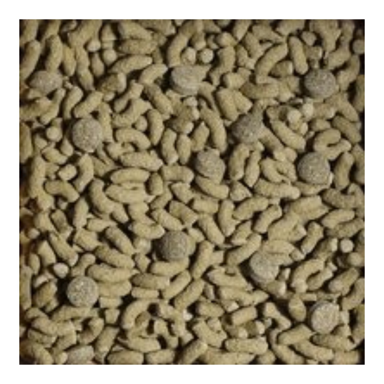 Alimento Sera Tortoise Adult Vital Mix 1000ml - 200g | Comida para Tortuga de Tierra 2