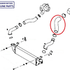 Manguera Salida Intercooler