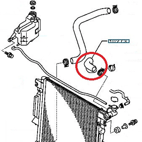 Manguera Superior de Radiador 2